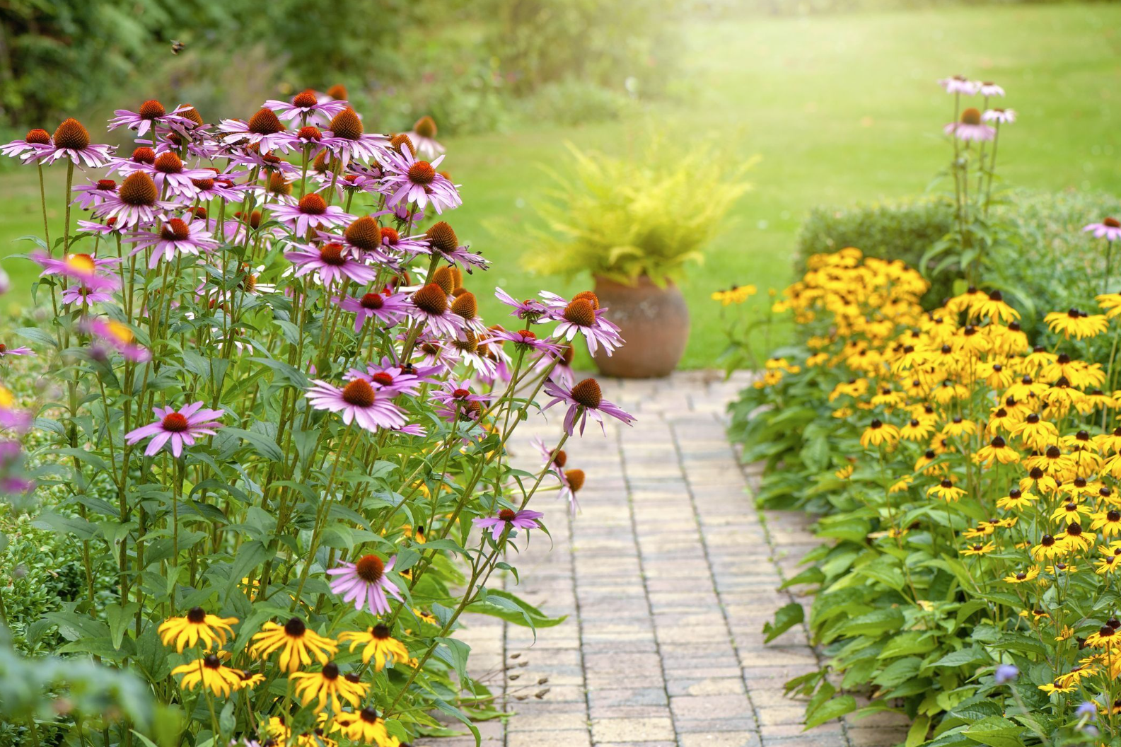 Jardin Parfait -Jardin Parfait 3qw