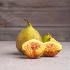 Figuier Gustis Ficcolino - Ficus Carica